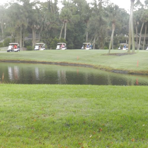 Golf Carts